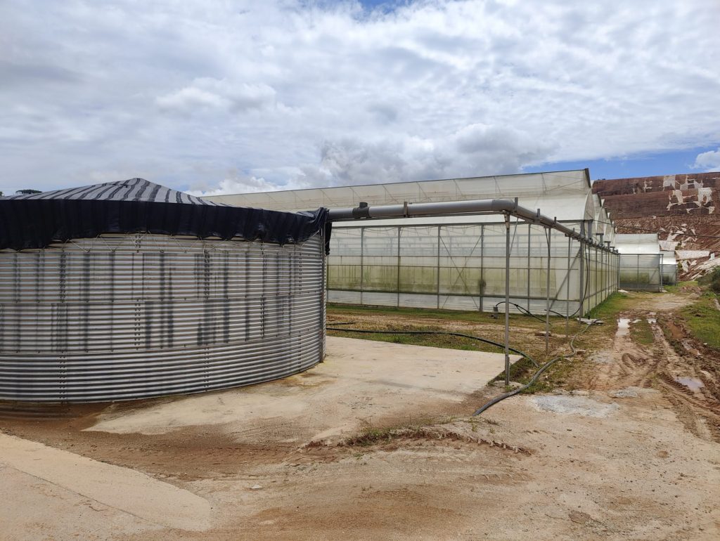 Rainwater harvesting and storage