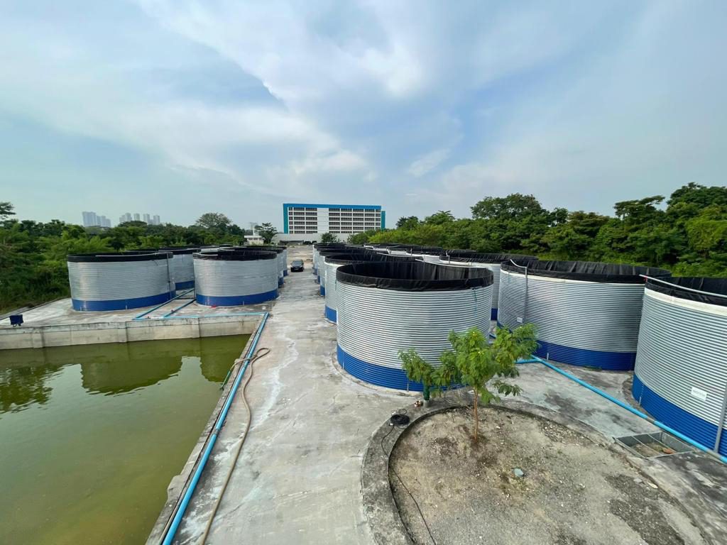 Water tanks for fish farming, Singapore